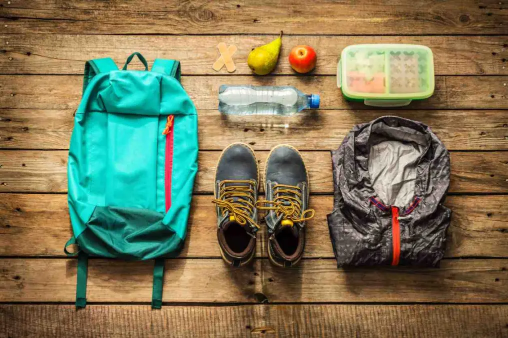 Tips for Camping Gear Storage | Daffodil Storage