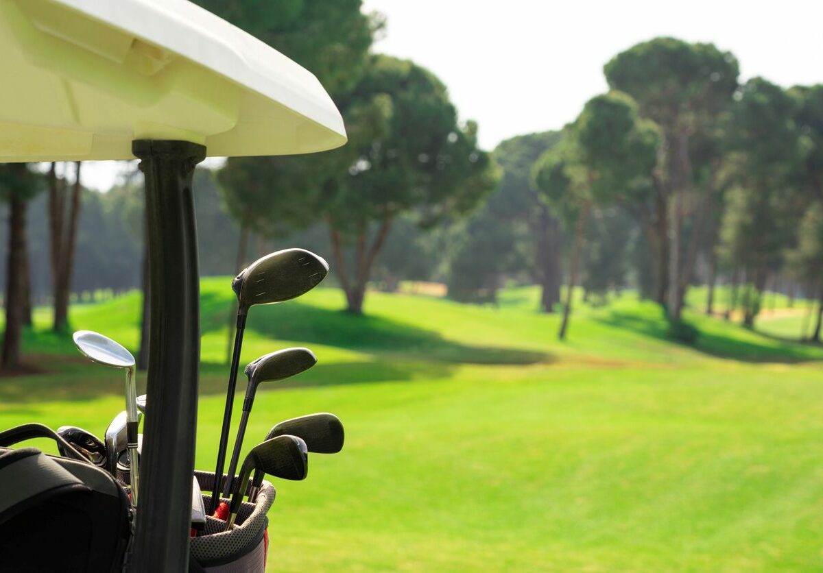 A close-up of a golf cart holding several golf clubs.